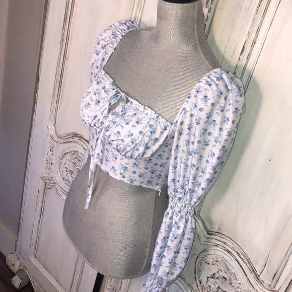 8 Birdies CottageCore Victorian Edwardian Feminine Prairie Cowgirl Corset Top - Picture 3 of 11